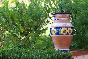 호텔 Felix Skala (Kefalonia)